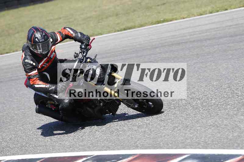 /46 11.08.2025 PADDYS-RACES-DAYS ADR/Starter-Hobby/71